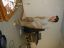 P9010043_th.jpg